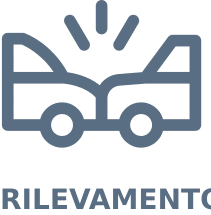 Icona rilevamento